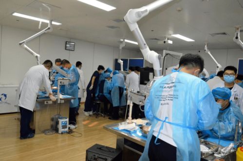 第八期吉林省神經(jīng)外科專業(yè)技術(shù)質(zhì)量控制培訓(xùn)班圓滿閉幕，開(kāi)創(chuàng)影視專業(yè)技術(shù)培訓(xùn)新篇章